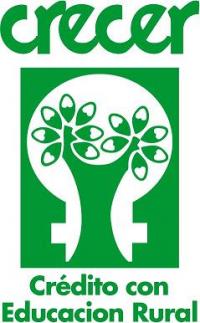 Logo Crecer IFD